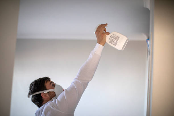 Best DIY Mold Remediation Support Services in Camp Wood, TX