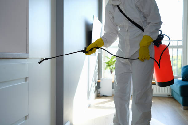 Best Preventive Mold Services in Camp Wood, TX